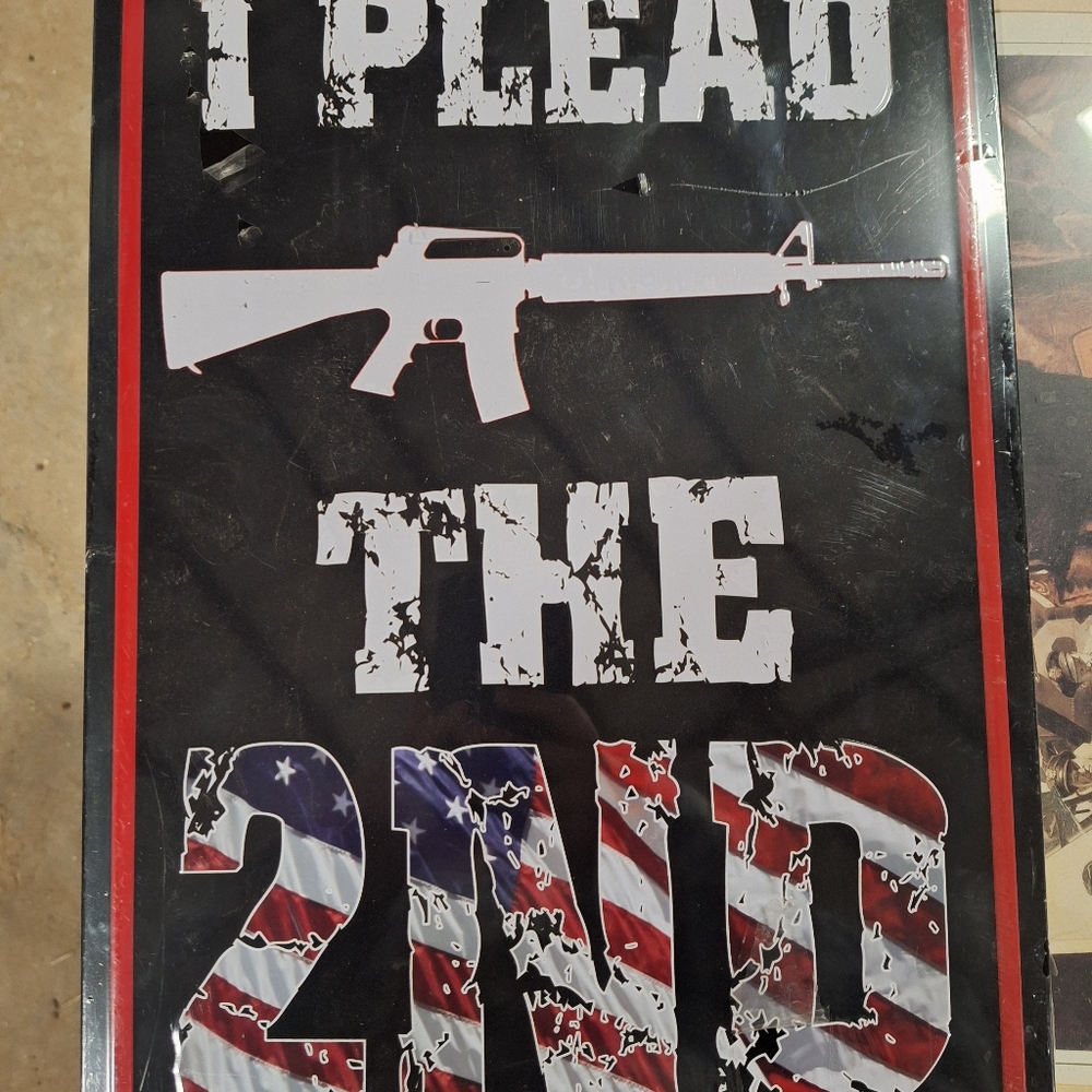 Rivers Edge Products Retro Metal Tin Sign, 17" x 12" , I Plead The 2nd